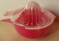  lis na citrus vínový - plast průměr cca 12 cm